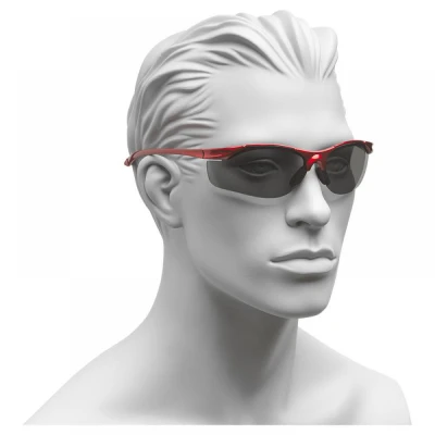 Ochelari pentru vizitatori SE2275 / Rock Safety / Cu lentile fumurii
