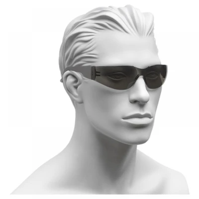Ochelari pentru vizitator  90960/SZ / Rock Safety / Cu lentile fumurii