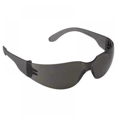 Ochelari pentru vizitator  90960/SZ / Rock Safety / Cu lentile fumurii