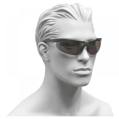 Ochelari pentru vizitatori  91708/SZ / Rock Safety / Cu lentile fumurii