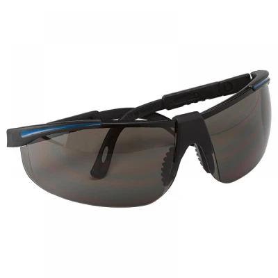 Ochelari pentru vizitatori  91708/SZ / Rock Safety / Cu lentile fumurii
