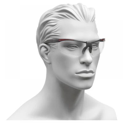 Ochelari pentru vizitatori 91708/VT / Rock Safety / Cu lentile transparente