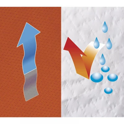 COMBINEZON DT125 / DeltaPlus / Combinezoane antichimice, Accesorii