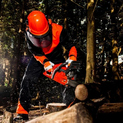 CH11 - Pantaloni Oak pentru forestieri / Portwest / Pentru forestieri