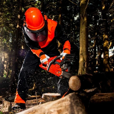 CH12 - Salopetă Oak pentru forestieri / Portwest / Pentru forestieri