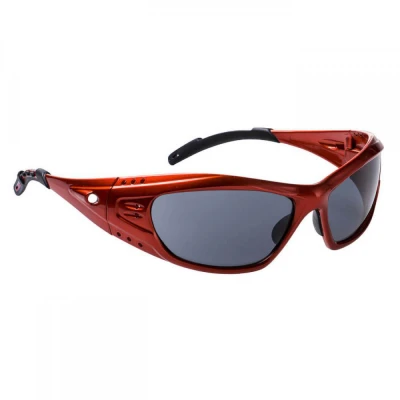 PS06 - Ochelari Paris Soport / Portwest / Cu lentile transparente