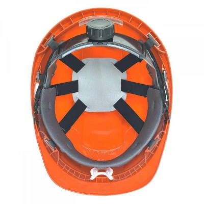 PW54 - Cască cu Visor Endurance Plus / Portwest / De lucru