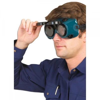 PW60 - Ochelari pentru sudare cu gaz / Portwest / Pentru sudura