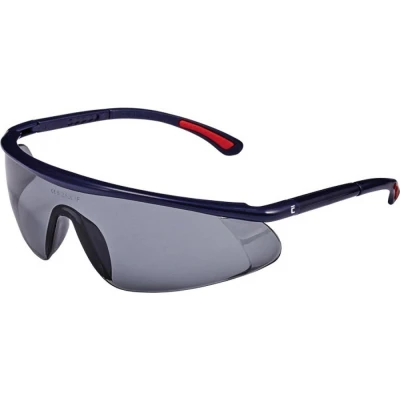 Ochelari BARDEN / Cerva / Cu lentile fumurii