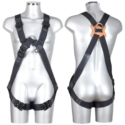V33 HEAT / Vertiqual / Centuri speciale