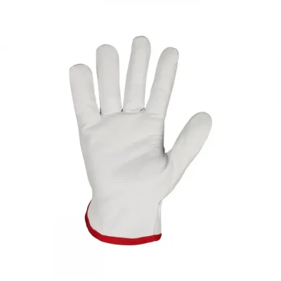 Mănuși de protecție CXS BONO / CXS / Piele integral