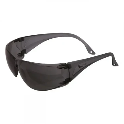 Ochelari CXS LYNX, vizieră fumurie / CXS / Cu lentile fumurii