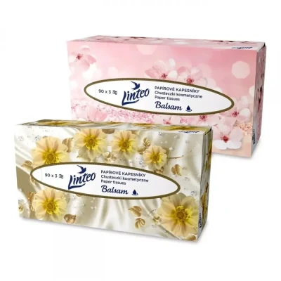 Batistuțe din hârtie LINTEO, în cutie, 90 buc., 3  / CXS / Prosoape hartie