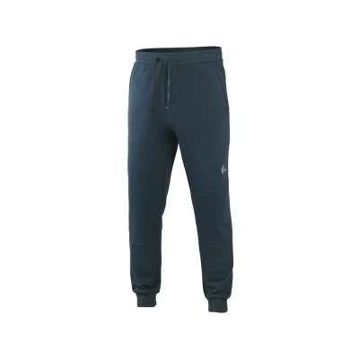 Pantaloni de trening CXS ELVIN, pentru bărbați, al / CXS / Pantaloni trening