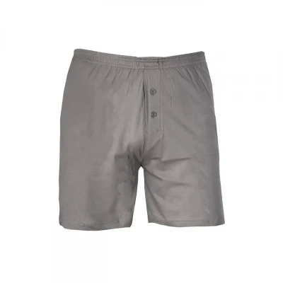 Boxeri BOXER, pentru bărbați, gri zinc / CXS / Bluze termice, Maieuri, Boxeri, Colanti