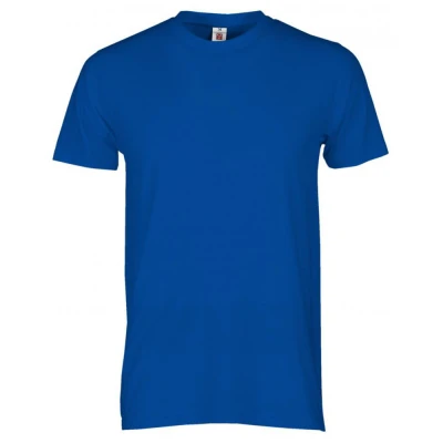 PRINT Tricou Clasic / Payper / Tricouri la baza gatului