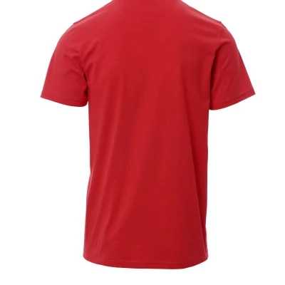 Tricou cu maneca scurta Payper Print / Rhino Safety / Tricouri la baza gatului