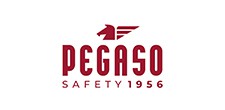 Pegaso