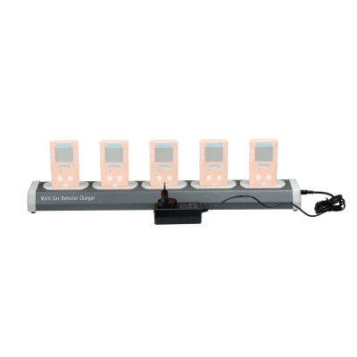 MULTICHARGER STATION / IRUDEK / Detectoare gaze, zgomot, statii de calibrare, accesorii