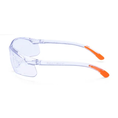 PW15 - Ochelari de protecție Fossa / Portwest / Cu lentile transparente