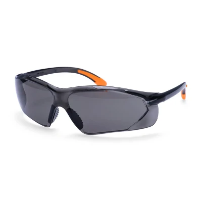 PW15 - Ochelari de protecție Fossa / Portwest / Cu lentile transparente
