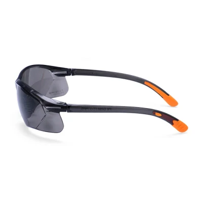 PW15 - Ochelari de protecție Fossa / Portwest / Cu lentile transparente