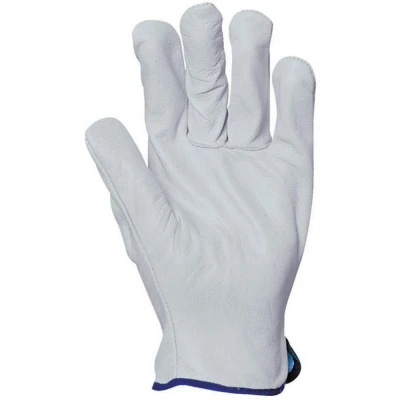 Manusi EP 2240 / Coverguard / Piele integral