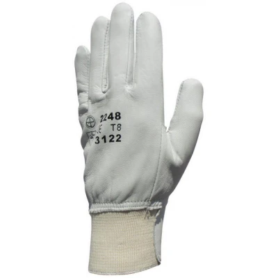 Manusi EP 2250 / Coverguard / Piele integral