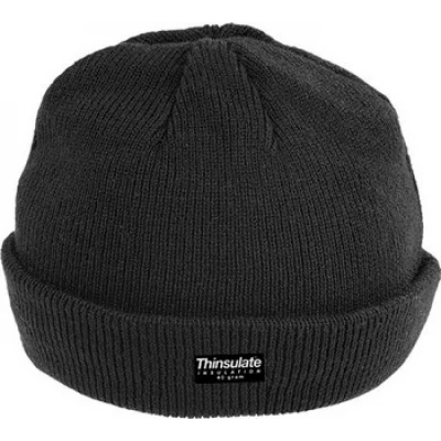 Căciulă Thinsulate™ / Coverguard / Caciuli iarna, Fulare, Cagule