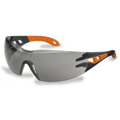 Ochelari UVEX PHEOS / Coverguard / Cu lentile transparente
